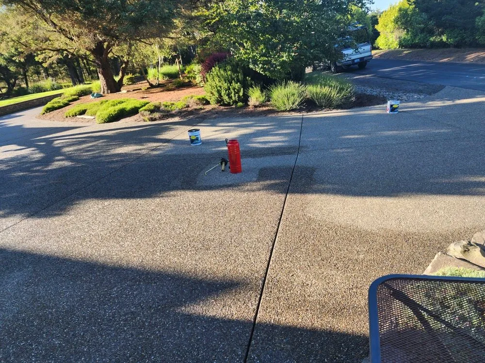 Slide of Ants Painting & Construction