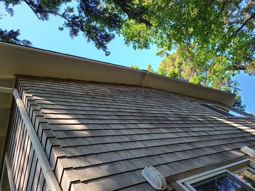 Slide of Ants Painting & Construction