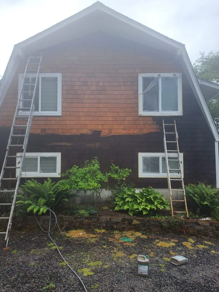 Slide of Ants Painting & Construction