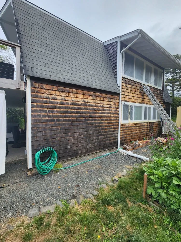 Slide of Ants Painting & Construction