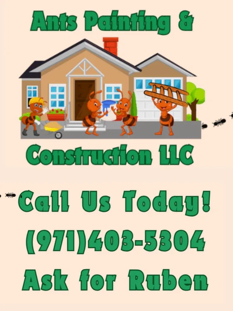 Slide of Ants Painting & Construction