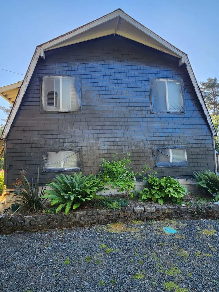 Slide of Ants Painting & Construction