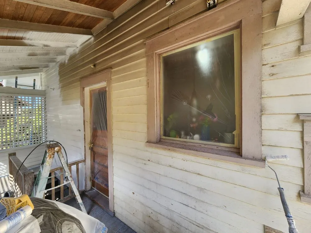 Slide of Ants Painting & Construction