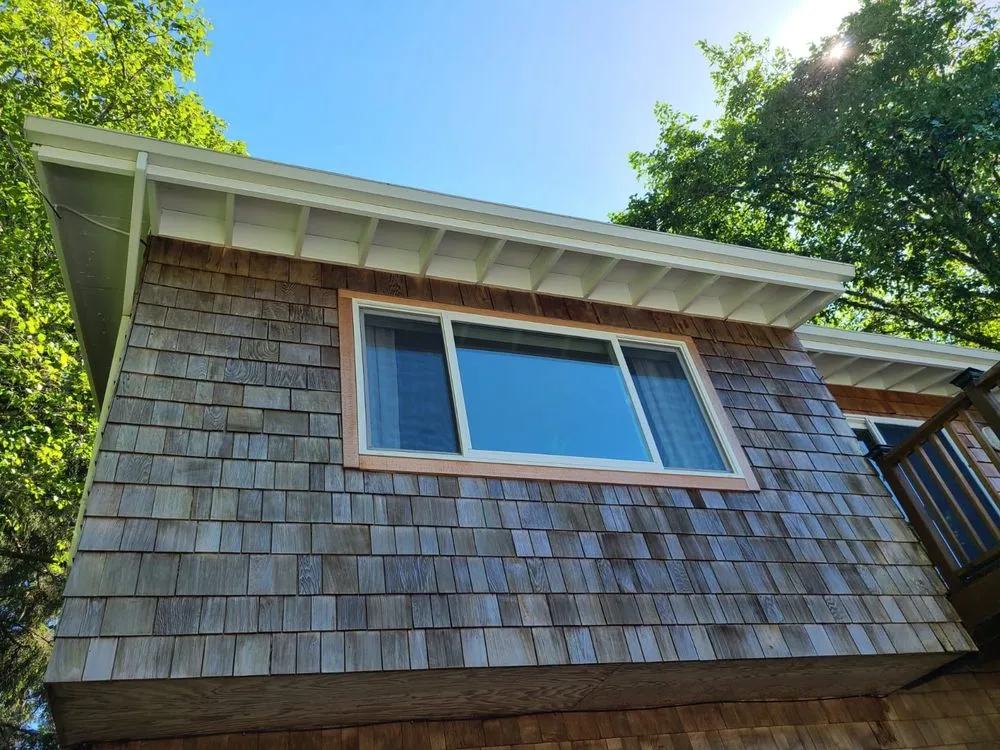 Slide of Ants Painting & Construction