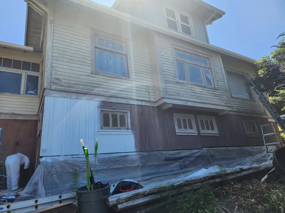 Slide of Ants Painting & Construction