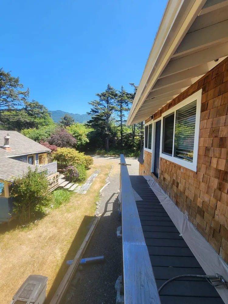 Slide of Ants Painting & Construction