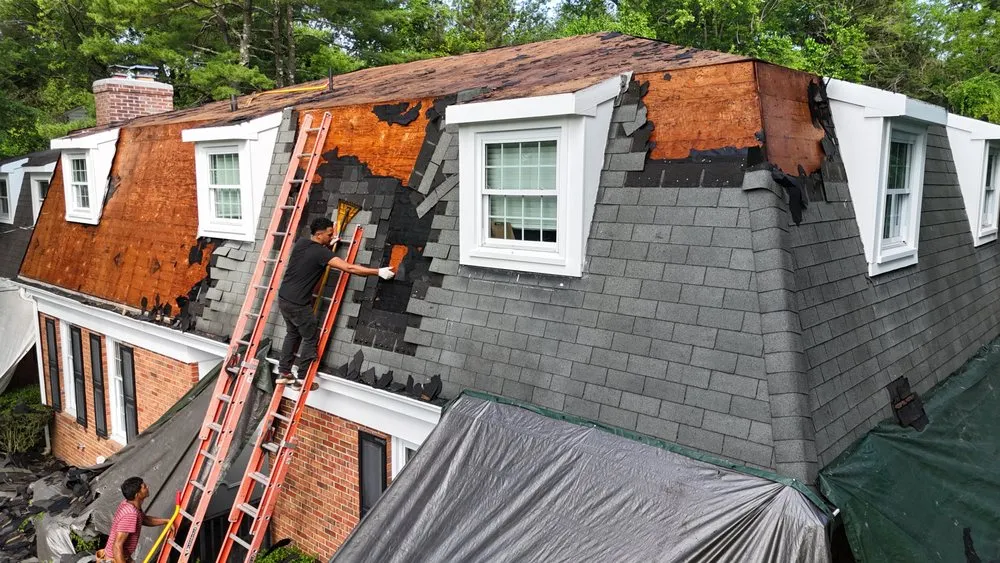 Slide of Ants Renovation