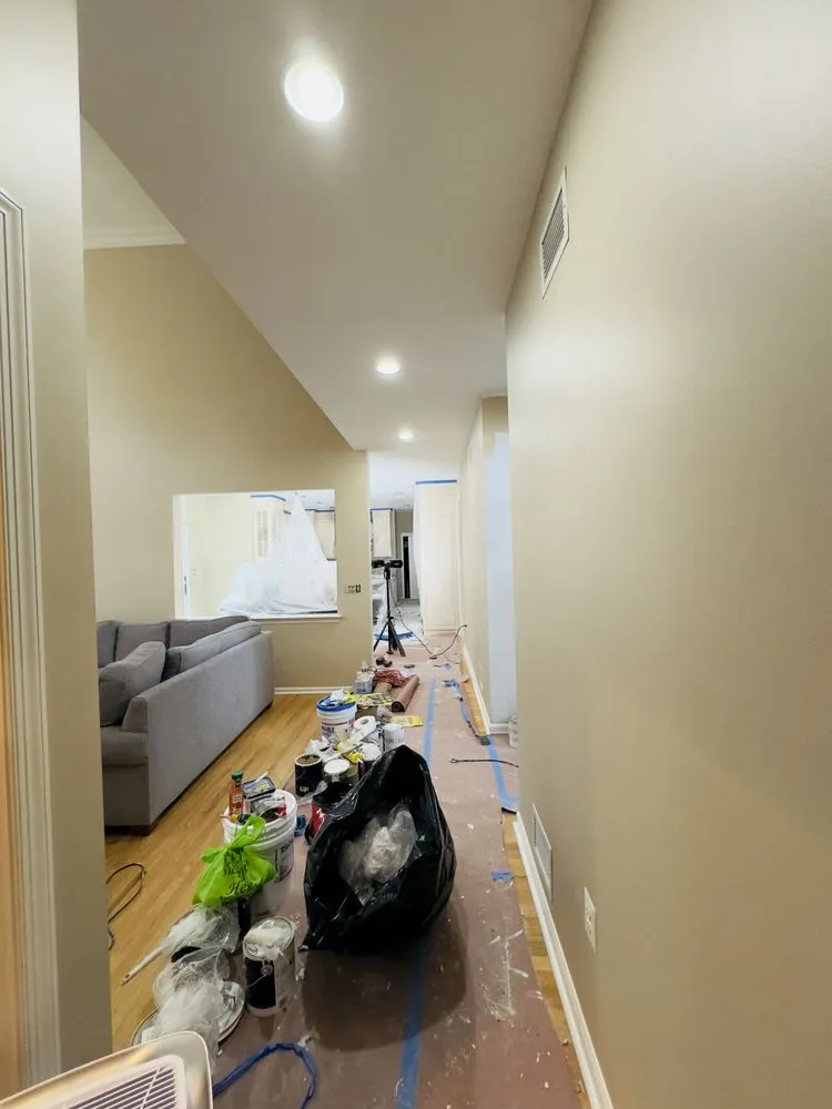 Slide of Ants Renovation