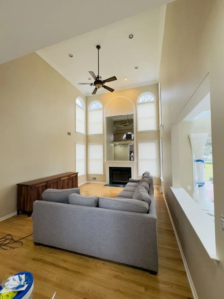 Slide of Ants Renovation