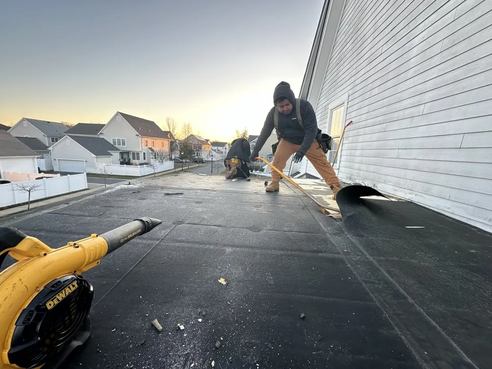 Slide of Ants Renovation