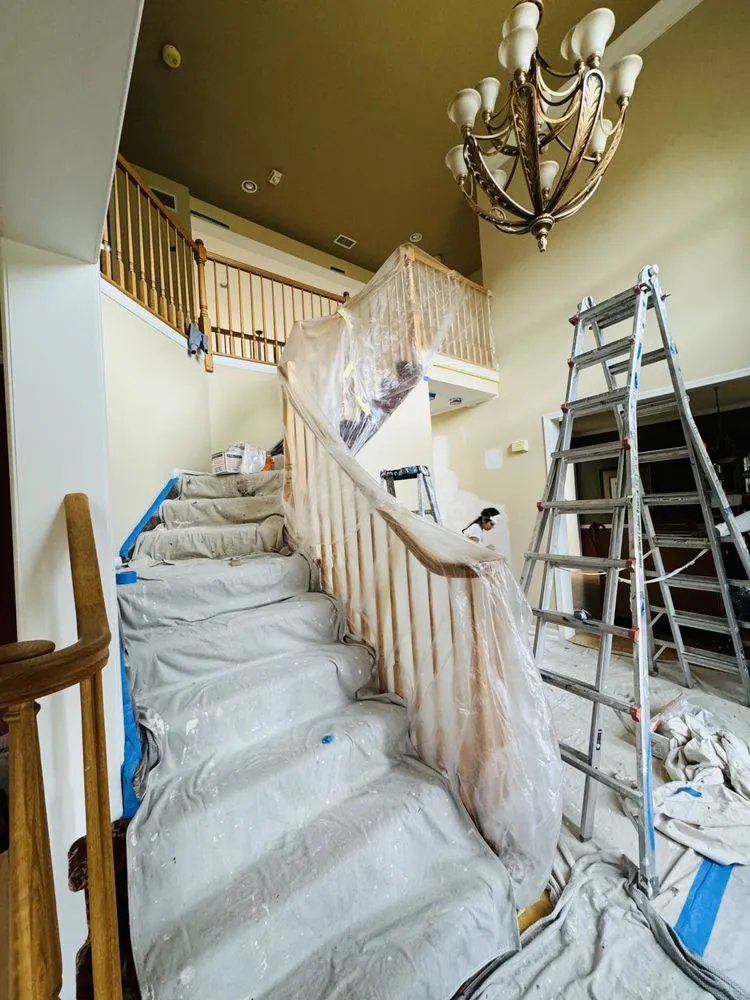 Slide of Ants Renovation