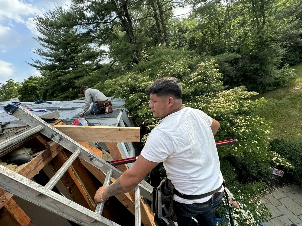 Slide of Ants Renovation