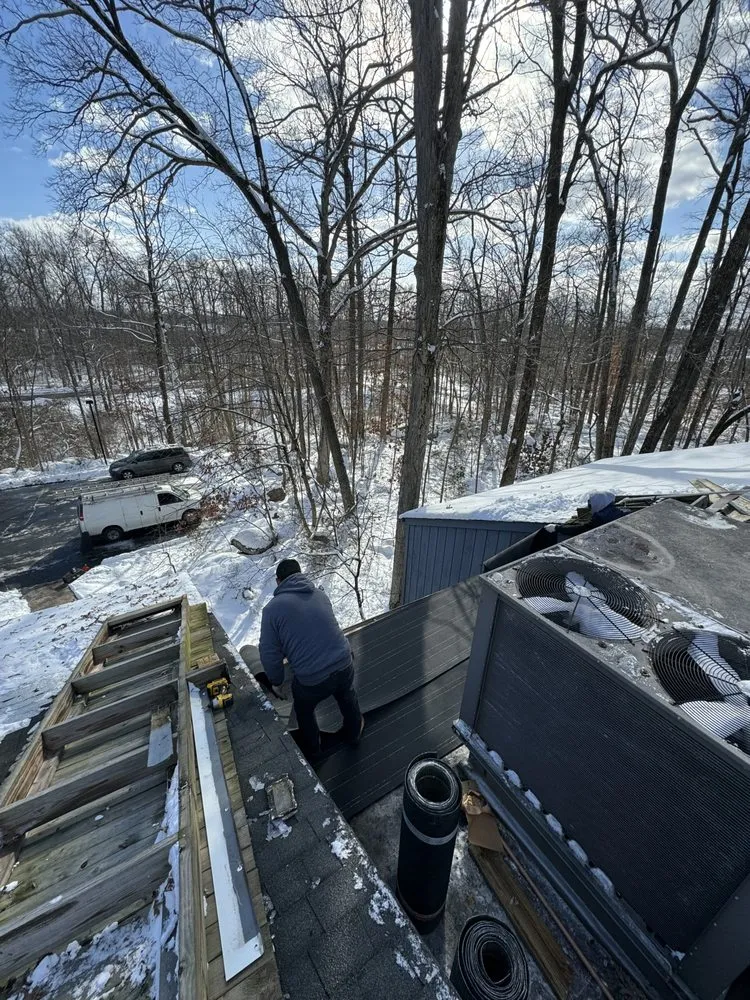 Slide of Ants Renovation