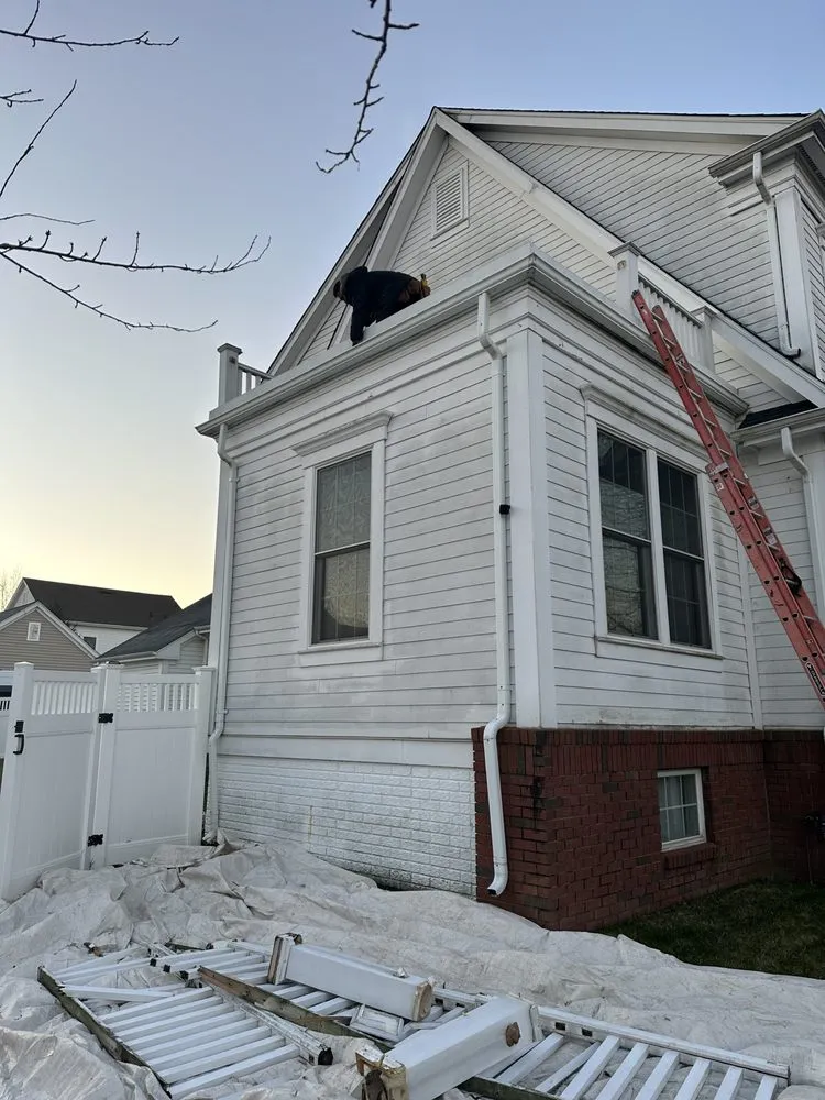 Slide of Ants Renovation