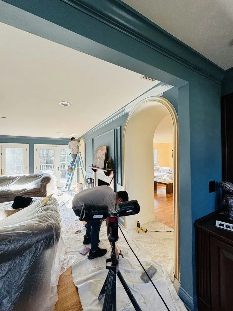 Slide of Ants Renovation