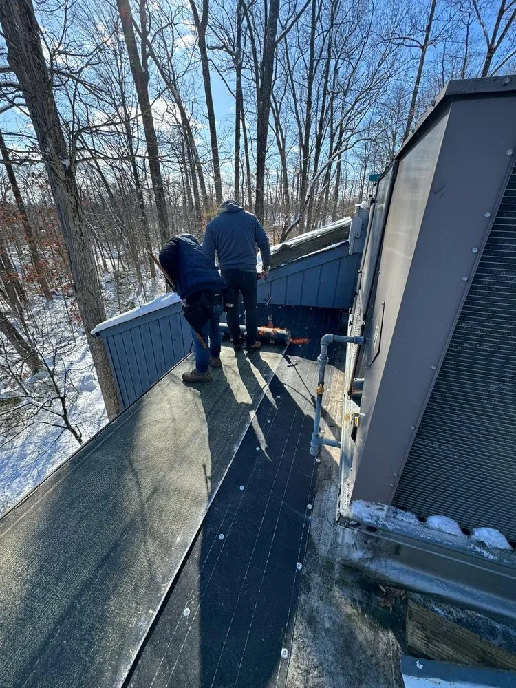 Slide of Ants Renovation