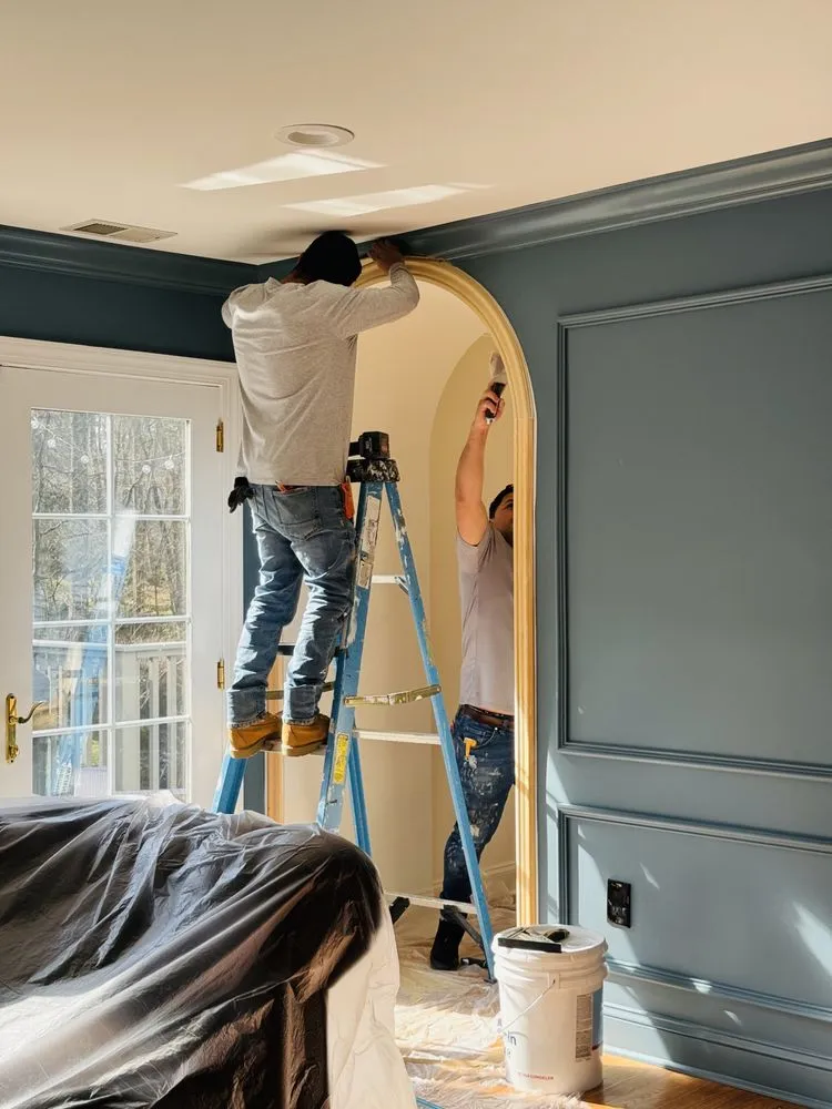 Slide of Ants Renovation