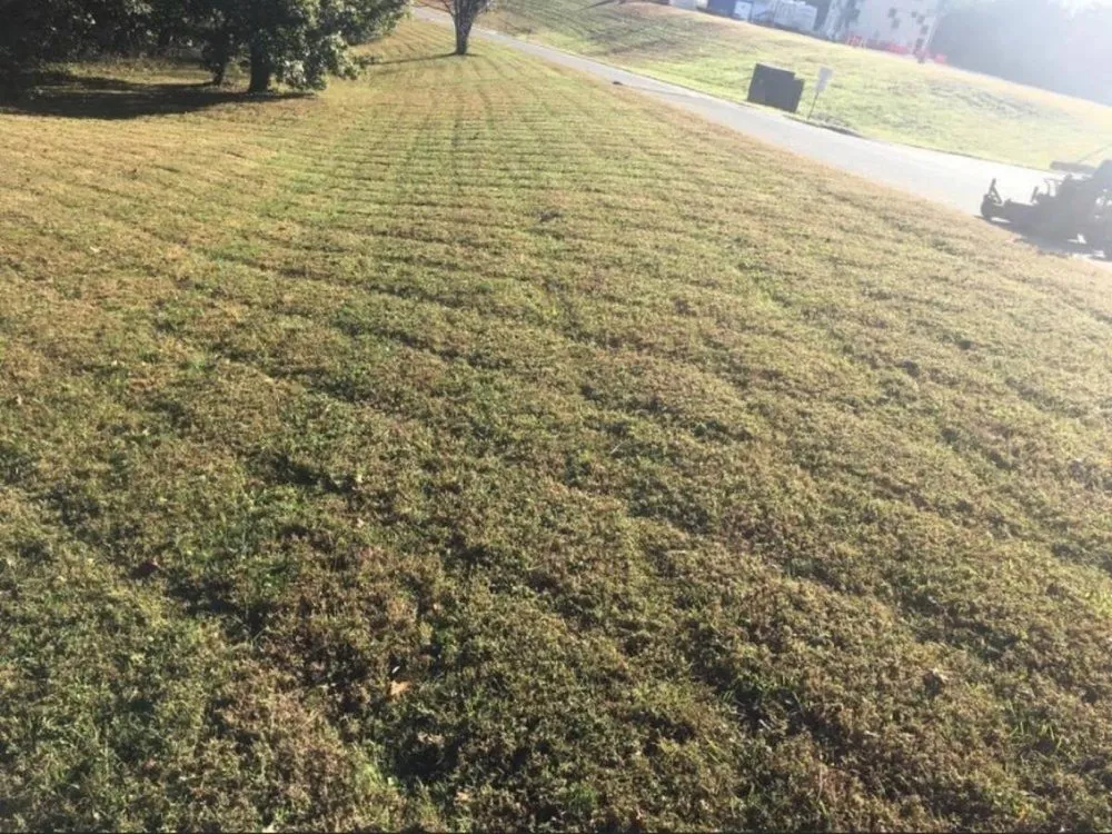 Slide of Anything Landscaping