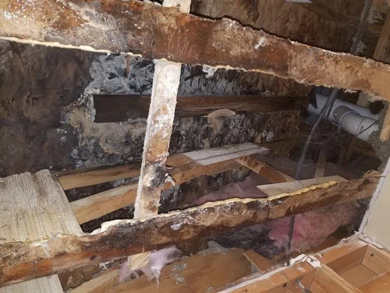 Slide of Anytime Restoration Services