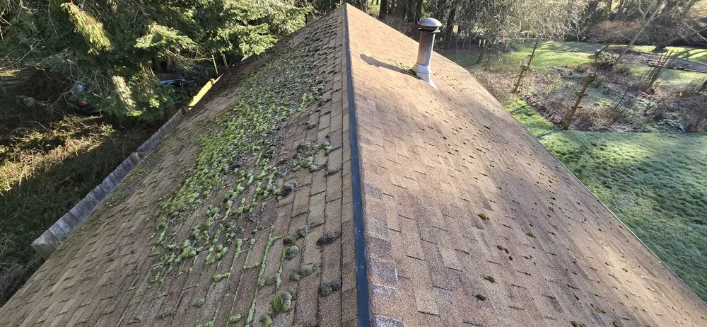 Licensed roof replacement in Port Hadlock-Irondale, WA by AP Contracting
