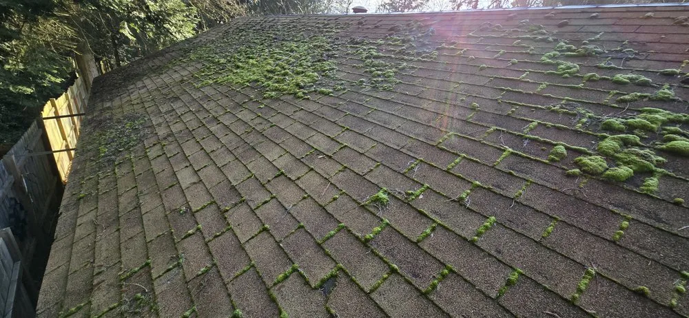 Reliable flat roof repair in Port Hadlock-Irondale, WA - AP Contracting