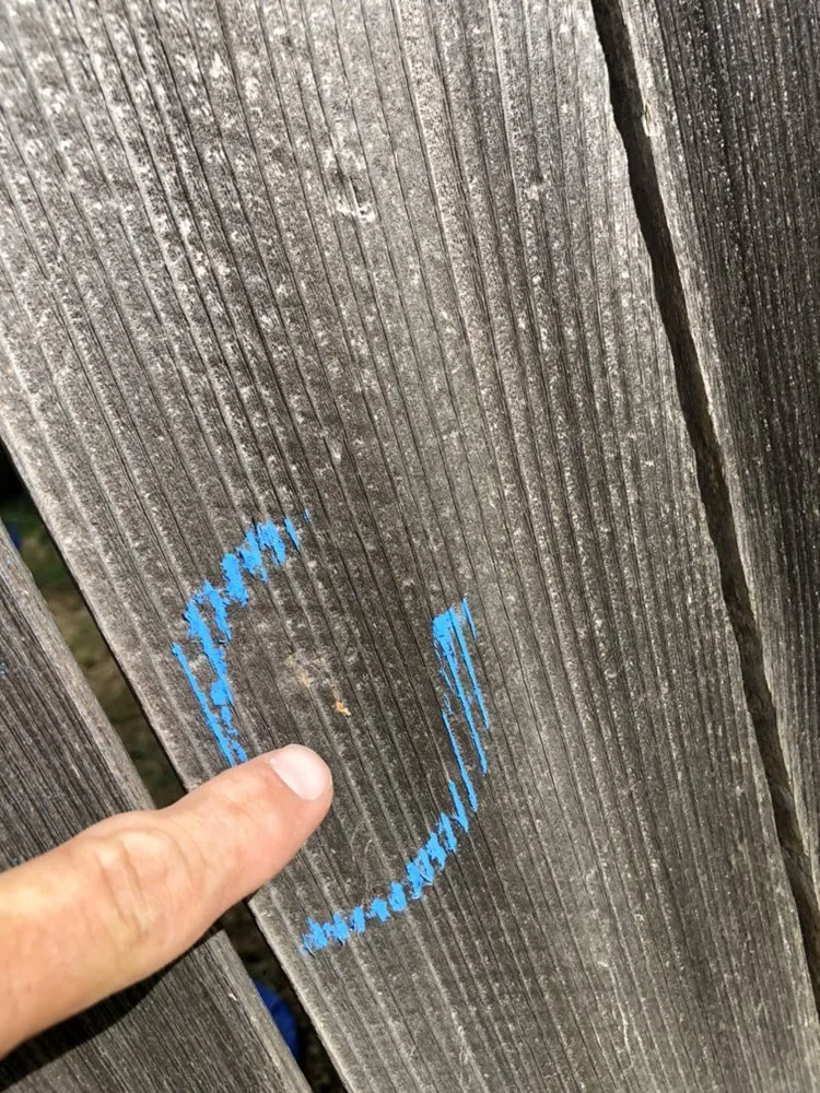 Slide of AP Industries