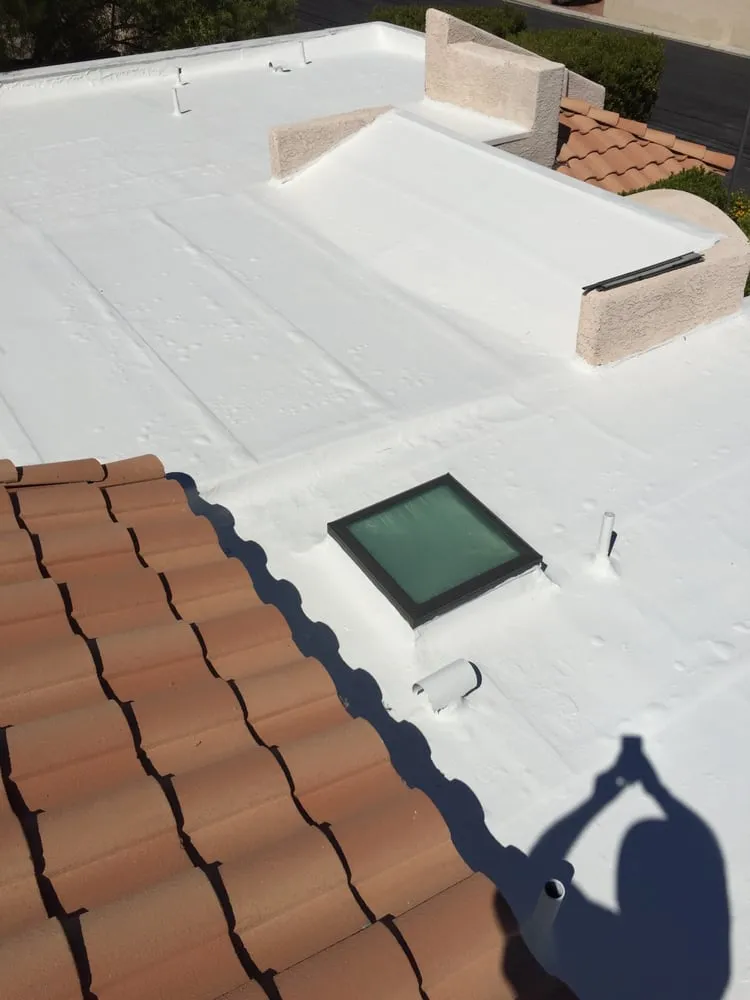 Slide of A&P Painting