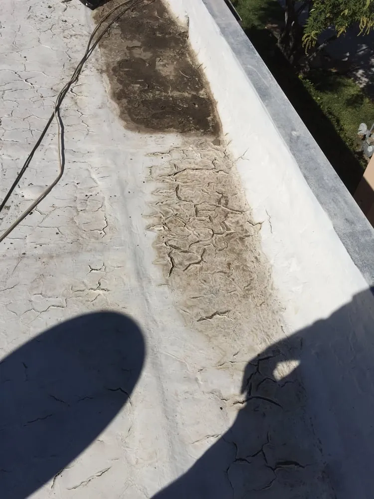 Slide of A&P Painting