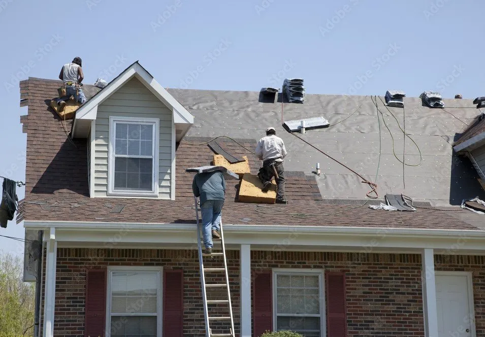 Slide of Ape Roofing