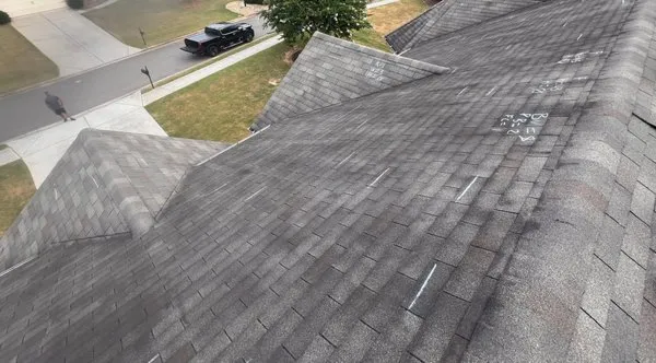 Apex Claim Specialists