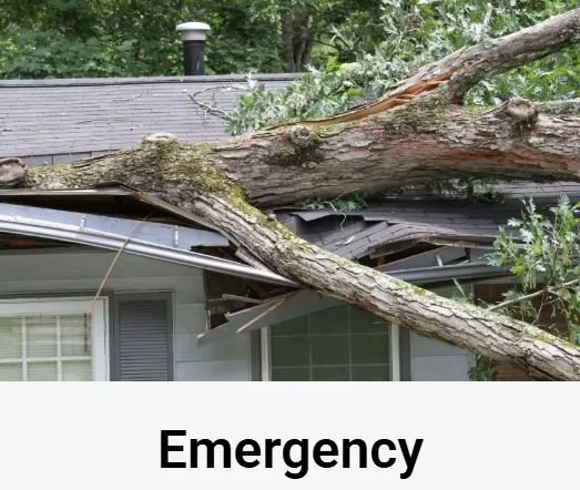 Slide of Apex Construction Development Company