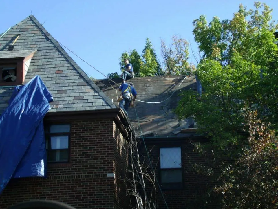 Slide of Apex Exterior Solutions