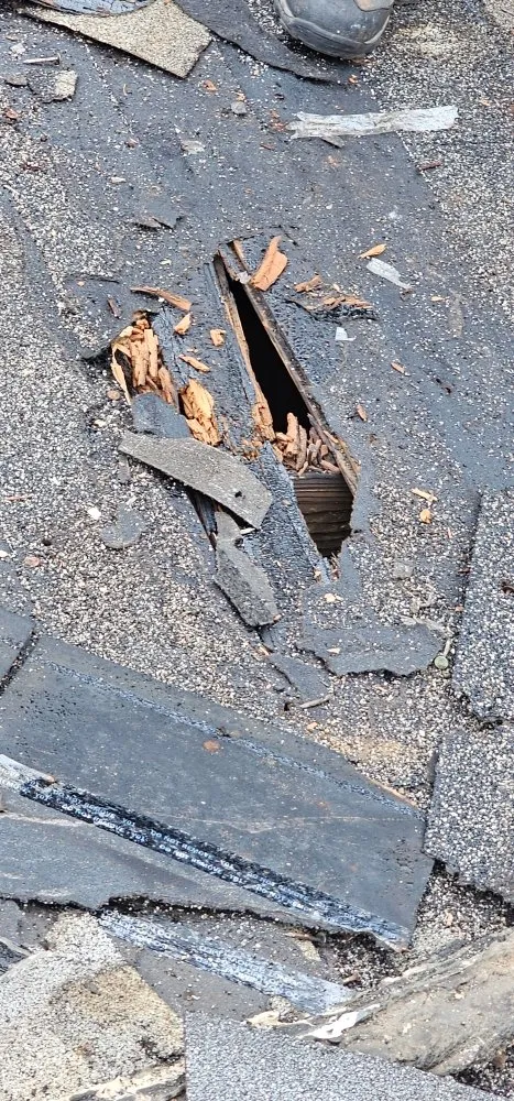 Slide of Apex Outdoor Creations