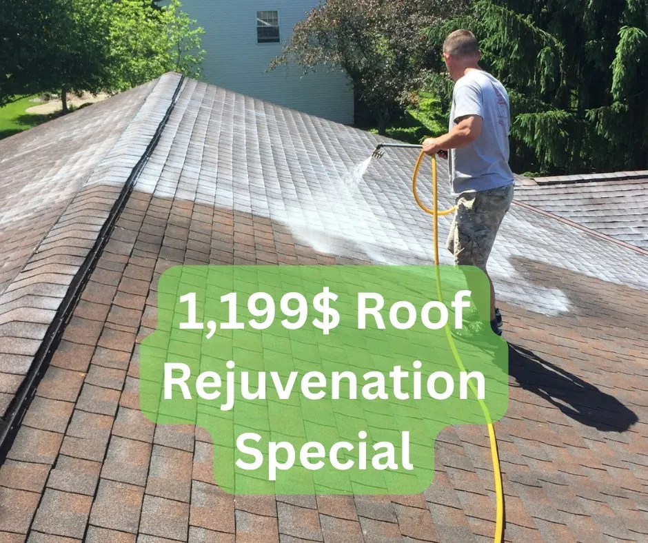 Slide of Apex Rebirth Roof Revival