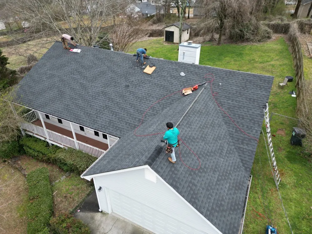 Slide of Apex Restorations