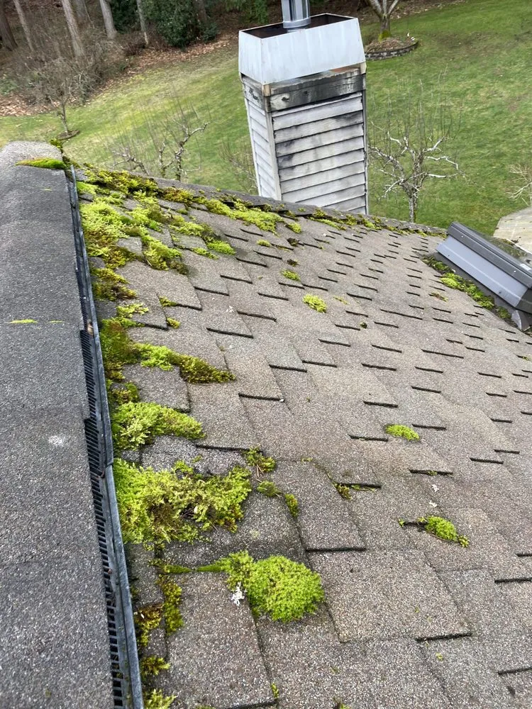 Slide of Apex Roof And Gutter