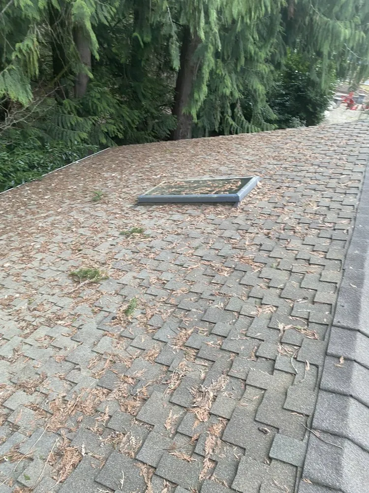 Slide of Apex Roof And Gutter