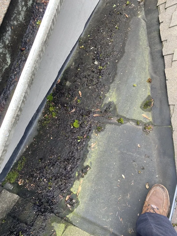 Slide of Apex Roof And Gutter