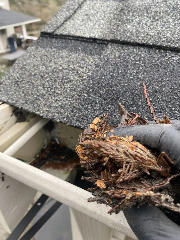 Slide of Apex Roof And Gutter