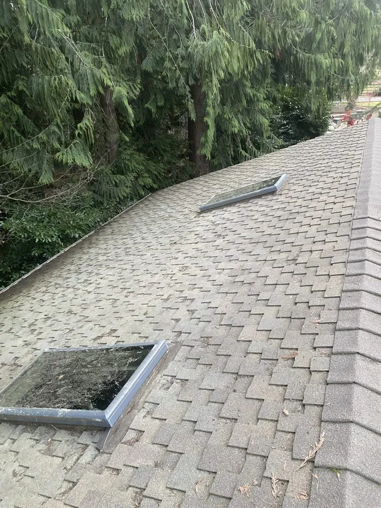 Slide of Apex Roof And Gutter