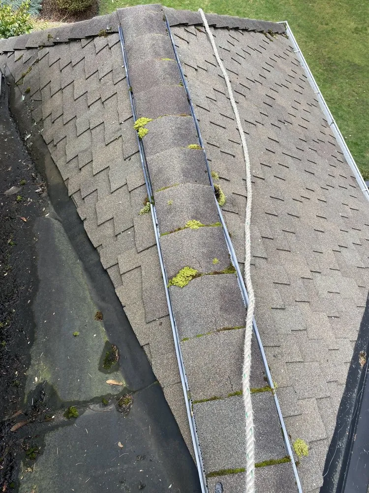 Slide of Apex Roof And Gutter