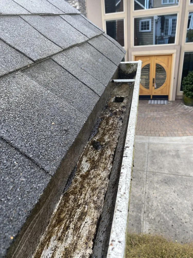 Slide of Apex Roof And Gutter