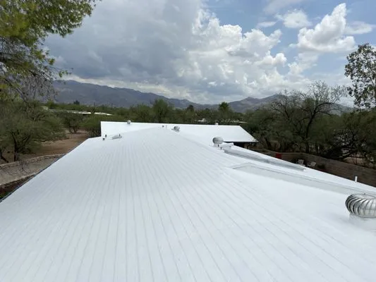Apex Roof Pros
