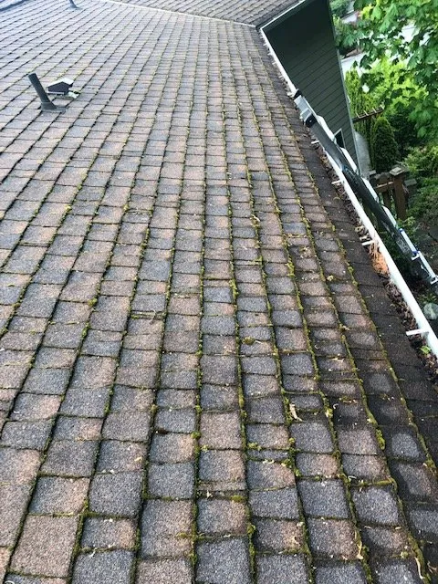 Slide of Apex Roof Repair & Maintenance