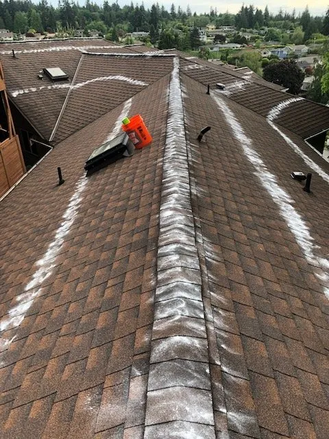Slide of Apex Roof Repair & Maintenance