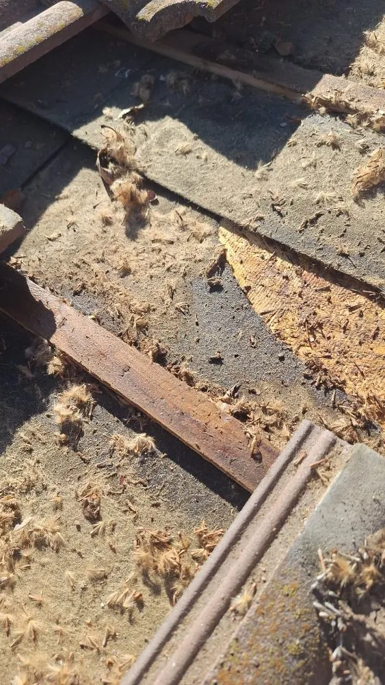 Slide of Apex Roofing & Construction