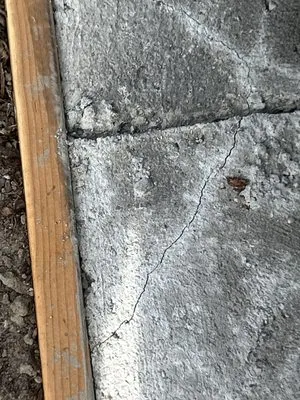 Apex Roofing & Construction