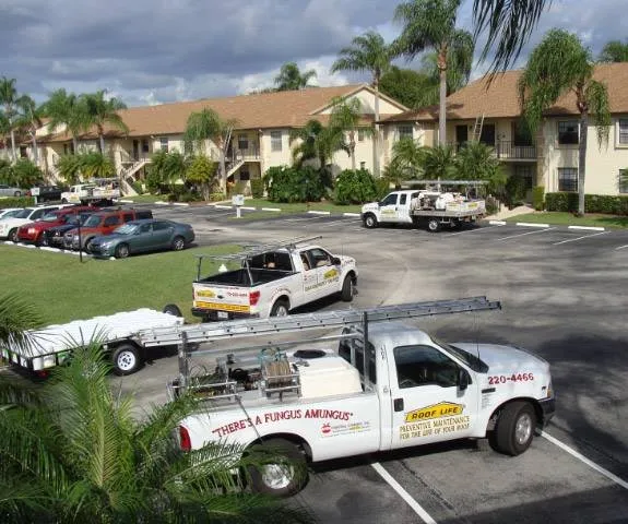 Slide of Appel Roof Cleaning