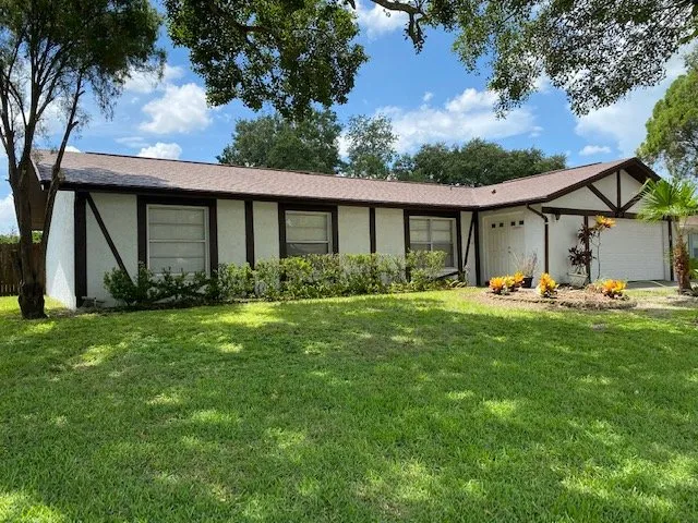 Slide of Apple Roof Cleaning