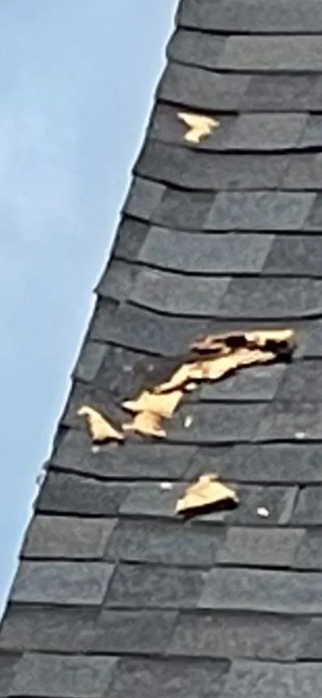 Slide of Apple Roofing